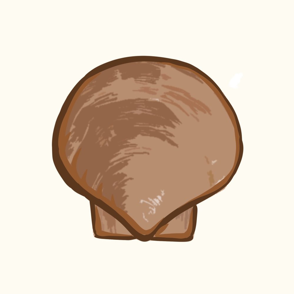 ScallApp Logo